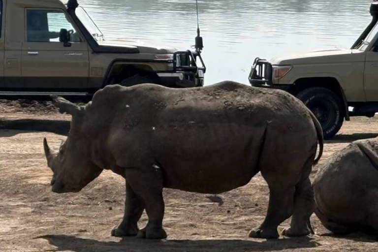 Nairobi: National Park Half-Day Safari with Hotel Pick-Up