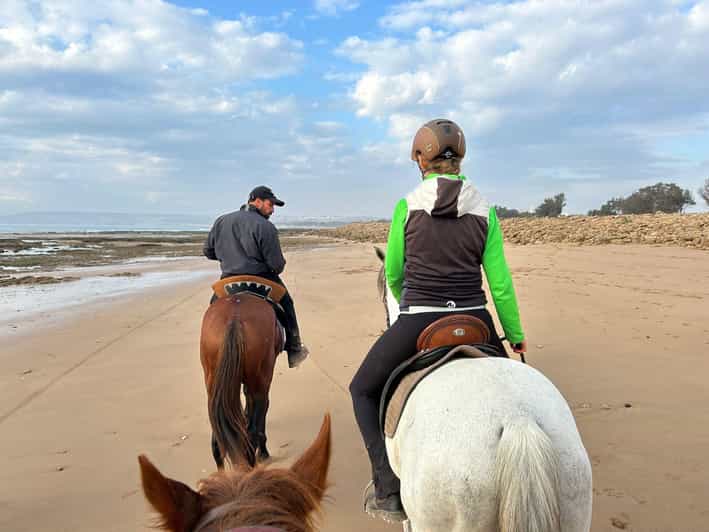 Essaouira : promenade à cheval avec pause thé - equitation
