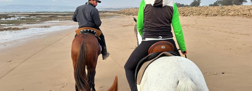 Essaouira : promenade à cheval avec pause thé