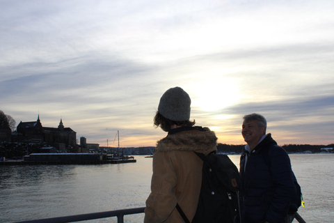 Oslo: Oslofjord Electric Boat Cookie Cruise