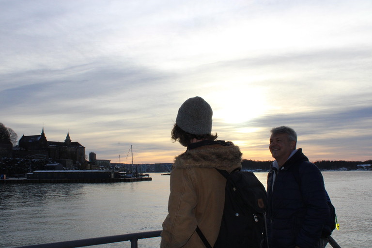 Oslo: Oslofjord Electric Boat Cookie Cruise