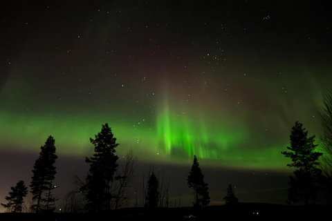 Northern Lights Rovaniemi Guaranteed & Unlimited KM Hunting