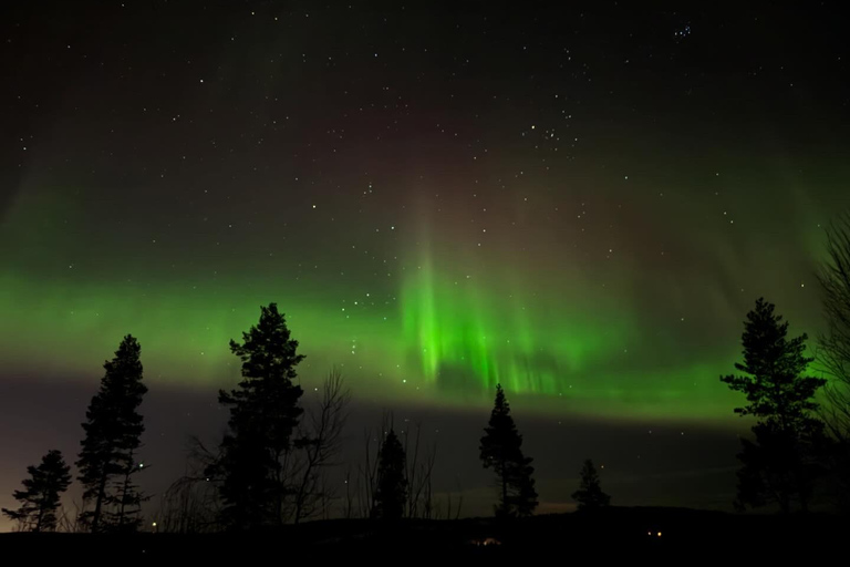 Northern Lights Rovaniemi Guaranteed & Unlimited KM Hunting