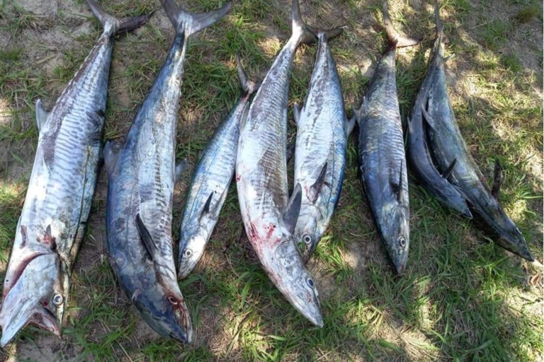 Fischen - Tiefsee - Mosambik - 6 NächteANGELSAFARIS IN MOSAMBIK