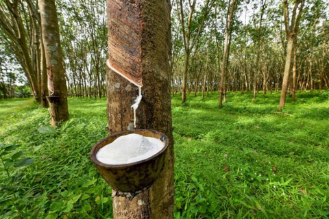 Ella: Tuk Tuk Tour to Diyaluma and Secret Waterfalls