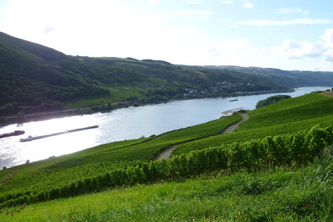 Tour privato della Valle del Reno con crociera sul fiume e degustazione di vini