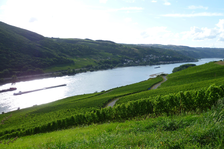 Tour privado por el Valle del Rin con crucero fluvial y cata de vinos