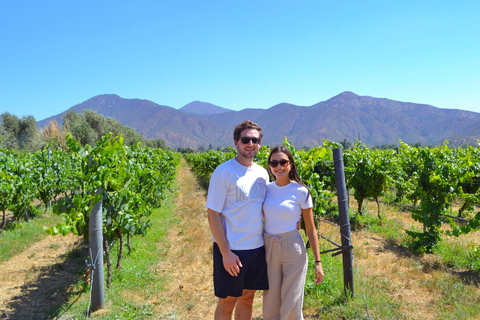 Santiago: Valparaíso Cruise Port Transfer & Vineyard Tour