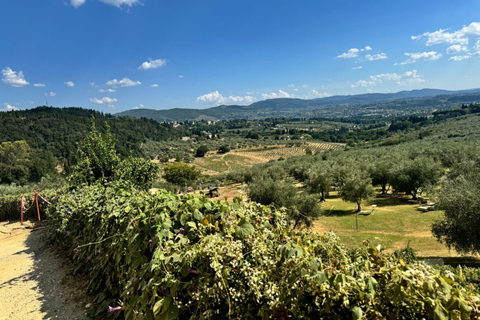 Florença: Fiesole E-Bike Tour com prova de azeite