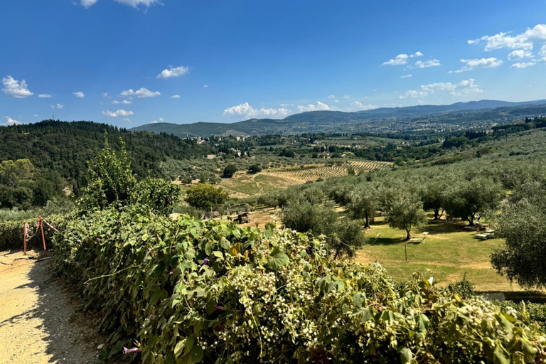 Florença: Fiesole E-Bike Tour com prova de azeite
