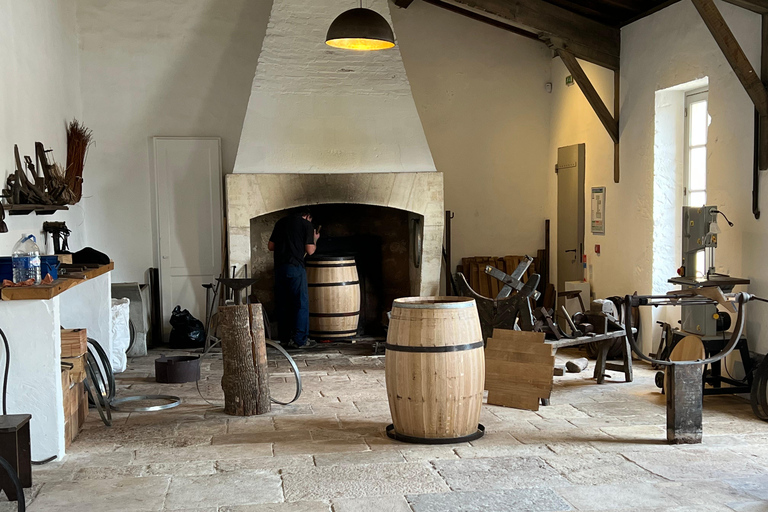 L&#039;ultimo tour dei vini di Bordeaux e del Medoc - VanIl tour del vino definitivo / 1855 castelli classificati - Van