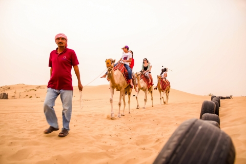 Dubaï : safari, barbecue et animations dans le désertSafari de groupe de 4 h en soirée et photo avec un faucon