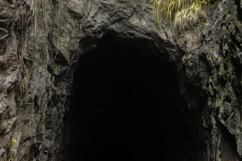 Kandy: Temple of Tooth, Train Ride, & Cave Waterfall Tour