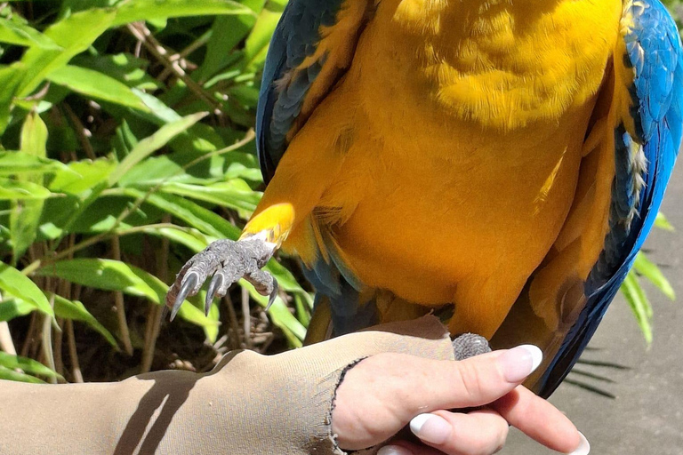 Croc Skip n Hop - Backpacker Deal (Brisbane)