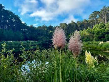 Da Lisbona: Tour di un giorno delle gemme nascoste di Sintra con picnic