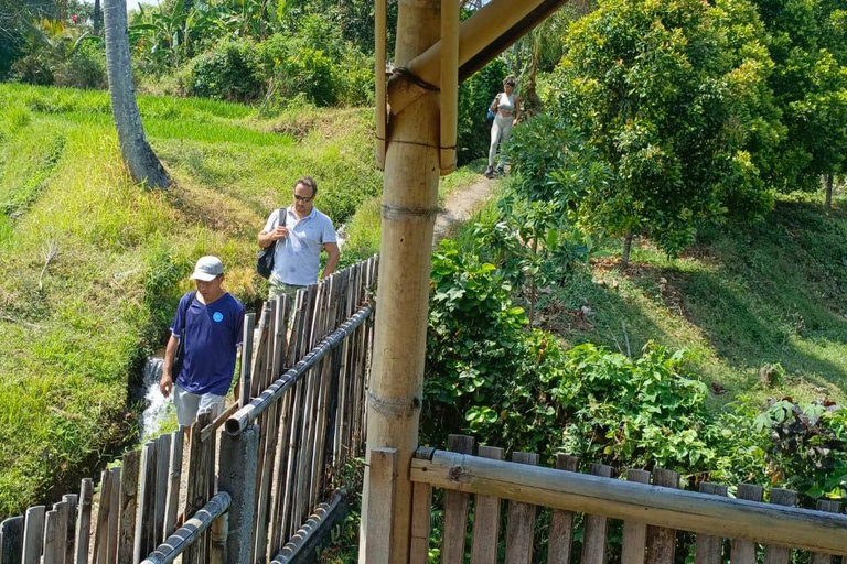 巴厘岛：莱松山两晚露营之旅·瀑布与玛永村探秘巴厘岛：2晚露营之旅，莱松山、瀑布与玛永村