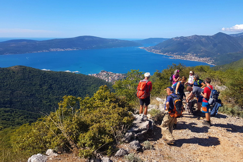Hiking Vrmac peninsula with panoramic view on Kotor bay