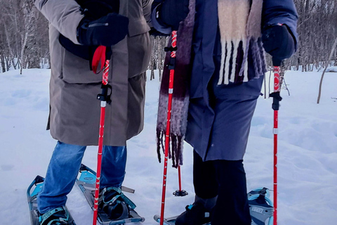 Tromsø Street to Wilderness: Guided Snowshoe Hike