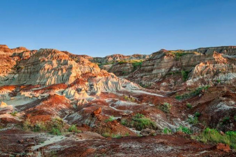 From Calgary: Drumheller Day Tour with Museum Entry