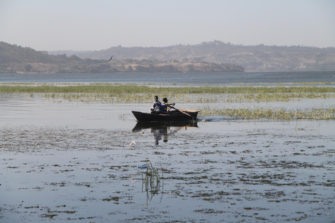 Addis Ababa: 8-Day Bale Mountains Birdwatching Tour