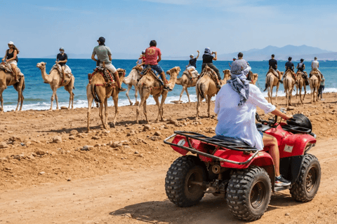 Sharm El Sheikh: Canyon, Blue Hole & Dahab Day Tour Blue Hole Explorer & Snorkeling Adventure