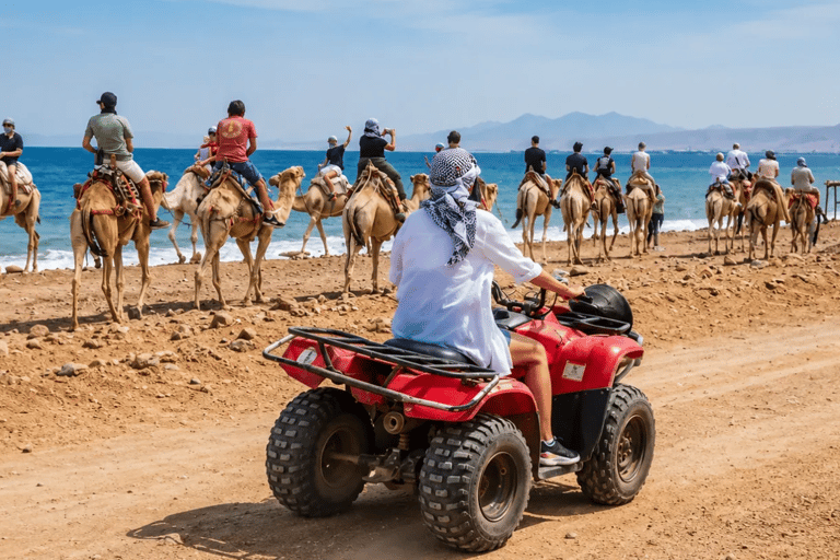 Sharm El Sheikh: Canyon, Blue Hole & Dahab Day Tour Blue Hole Explorer & Snorkeling Adventure