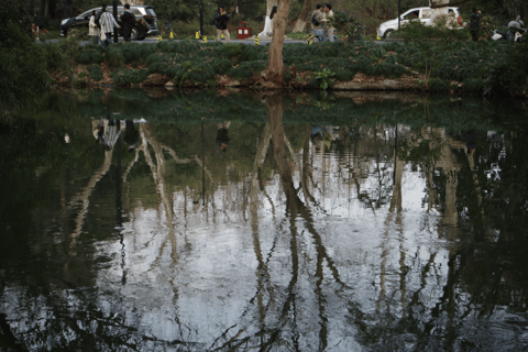 Hangzhou West Lake Bike Tour: Temple, Tea Field, Sunset Ride