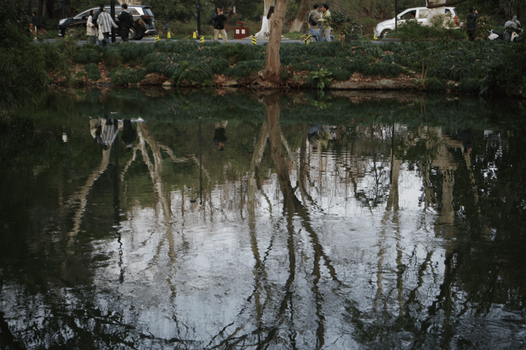 Hangzhou West Lake Bike Tour: Temple, Tea Field, Sunset Ride