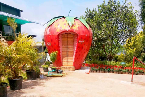 Mumbai/Pune: 4-Day Mahabaleshwar Hill Station Tour