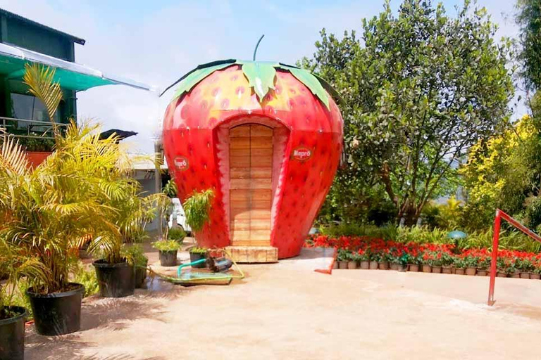 Mumbai/Pune: 4-Day Mahabaleshwar Hill Station Tour