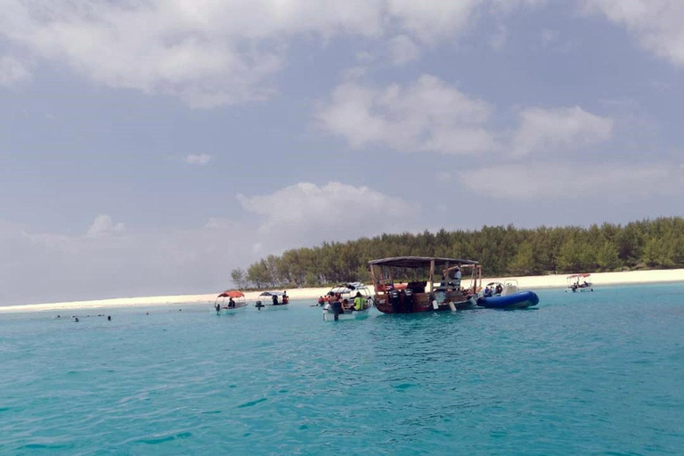 Zanzibar: Snorkeling sull&#039;isola di Mnemba e avventura con i delfini