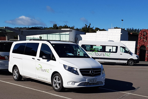 Da Rotorua ad Auckland - Trasferimento pomeridiano con Waitomo Caves