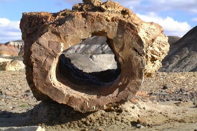 El Calafate: La Leona Petrified Forest & Fossils Trek