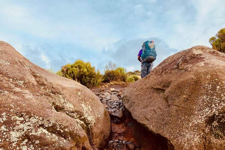 Tanzanie : Circuit privé de 4 jours pour l&#039;ascension du Mont Meru