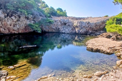 Lokrum Island Scenic Hike: History, Nature & Stories