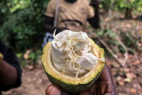 Accra on Foot: Culture & Street Food Hunt Accra on Foot: Culture and Food Hunt