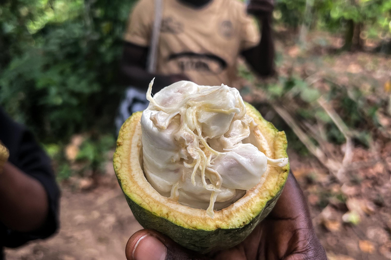 Accra on Foot: Culture & Street Food Hunt Accra on Foot: Culture and Food Hunt