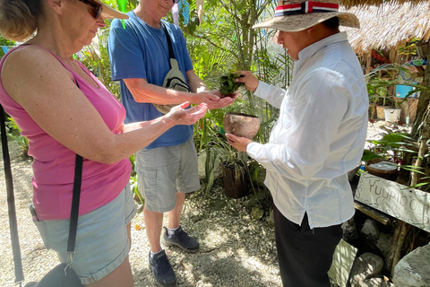 Coba: Adventure, Nature, and Mayan Heritage