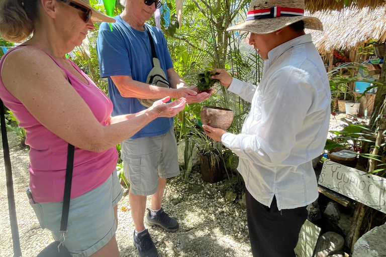 Coba: Adventure, Nature, and Mayan Heritage