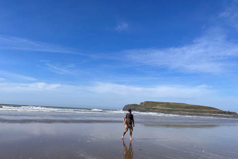 From Cardiff: Gower Peninsula, Finest Cliffs of South Wales