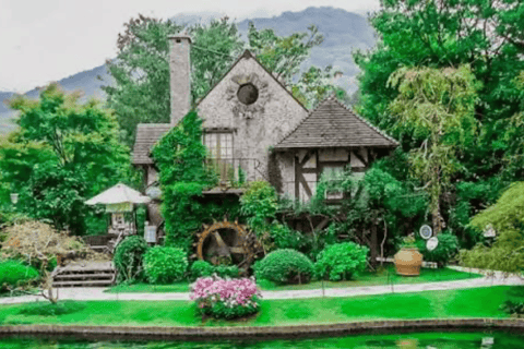 From Tokyo: Mount Fuji Full Day Customizable Private Tour