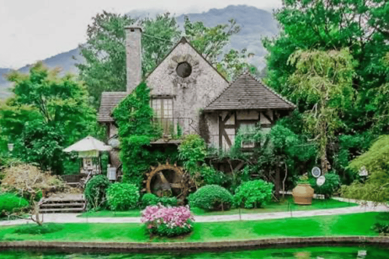 From Tokyo: Mount Fuji Full Day Customizable Private Tour