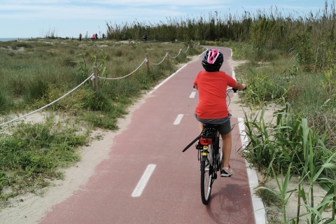 Parque Natural de la Albufera de Valencia: Paseo en Bicicleta y Barco
