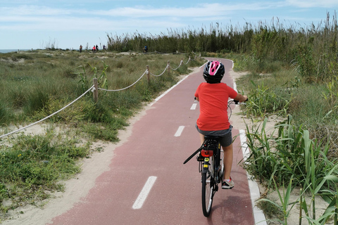 Valência: passeio de bicicleta e barco pelo Parque Natural da Albufera