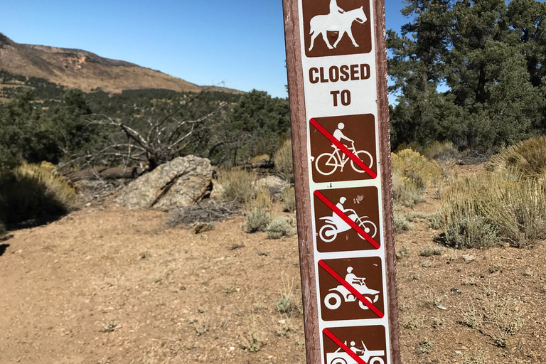 Big Bear Meditation Hike