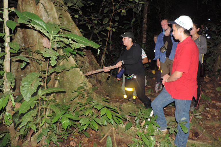 From Madre de Dios: Night trekking in the Amazon jungle