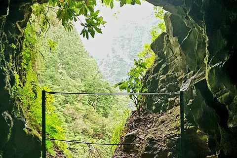 Madeira: Levada Caldeirão Verde Shared Transfer Self-Guided