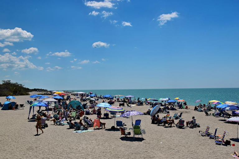 Belfast: tour privato della Giant's Causeway con veicolo di lussoBelfast: Private Giant's Causeway Tour with Luxury Vehicle