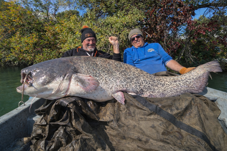 Catfish fishing in the Camargue and a boat tour of the Pont d'Avignon