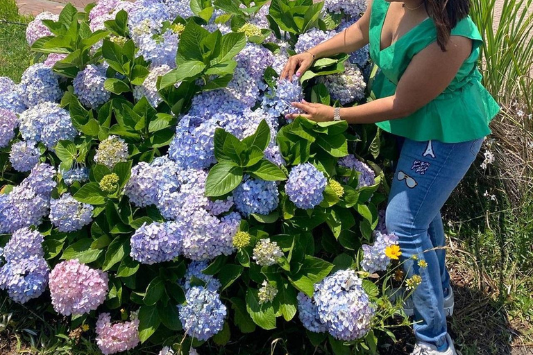 Gema oculta de Jeju: Tour privado todo incluido (Guía certificado)